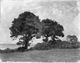 North County Dublin, Trees by the Sea