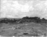 Stony Field, Trees against the Sky