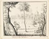 The View from the Cottage Grove, Hertford, Hertfordshire