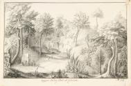 The Upper Fairy Pool at Calwich, Staffordshire