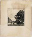 Trees in a Landscape