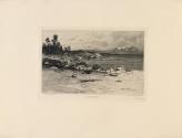 Sea Coast