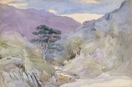 A Mountain Stream