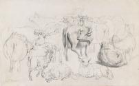 Cattle and Sheep