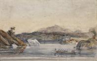 Cows Drinking near Porthmadog, Wales