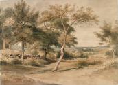 Near Redleaf, Kent