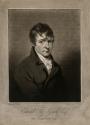 Edward Fitzgerald of New Park, County Wexford (1770-1807), Revolutionary