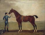 A Bay Racehorse with a Jockey in the Colours of Wyndham Quin