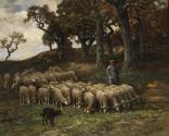 A Shepherd and Flock