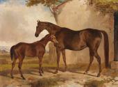 A Mare and Foal
