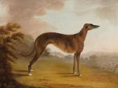 A Brindle Bitch in a Landscape (c.1839)