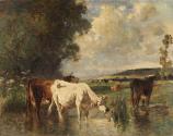 Cows in a Marsh