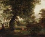 A Woodland Scene