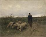 Shepherd and Sheep