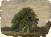 Cattle Grazing by Trees