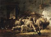 Sheep in a Barn