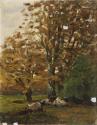 Cows Resting under Trees