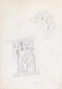 Study of Architectural Foliage