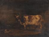 The Cow Shed