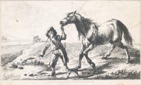 Man Leading an Unwilling Horse to Water
