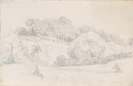 Trees on a Hillock