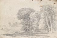 Cattle by the Roadside