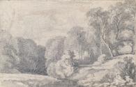 Trees by a Stream