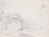 An Overgrown Arch
