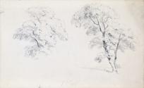 Two Trees
