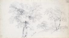 Trees