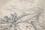 Sheep on a Hill