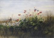 Pheasants in a Bank of Flowers