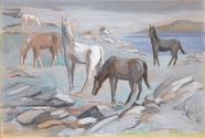 Horses Grazing
