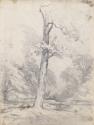 A Tree