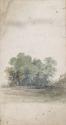 A Copse