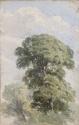 A Tree