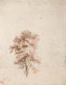 A Tree