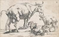 Cattle, Milkmaid and Goat
