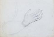 A Hand