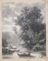River scene with trees