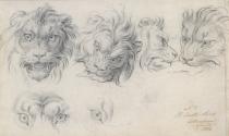 Lions' Heads