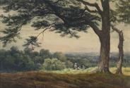 A Hill near Esher, Surrey