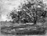 Fields with three Trees