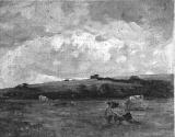 Hillside with Cattle