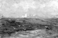 Cliffs: a Storm with Seabirds