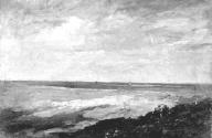 Sandy Coast with Cattle