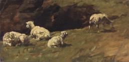 Sheep Resting, a Cow Grazing