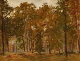 A Grove of Trees