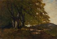 A Landscape with Trees and a Hill