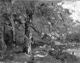 Trees on a River Bank